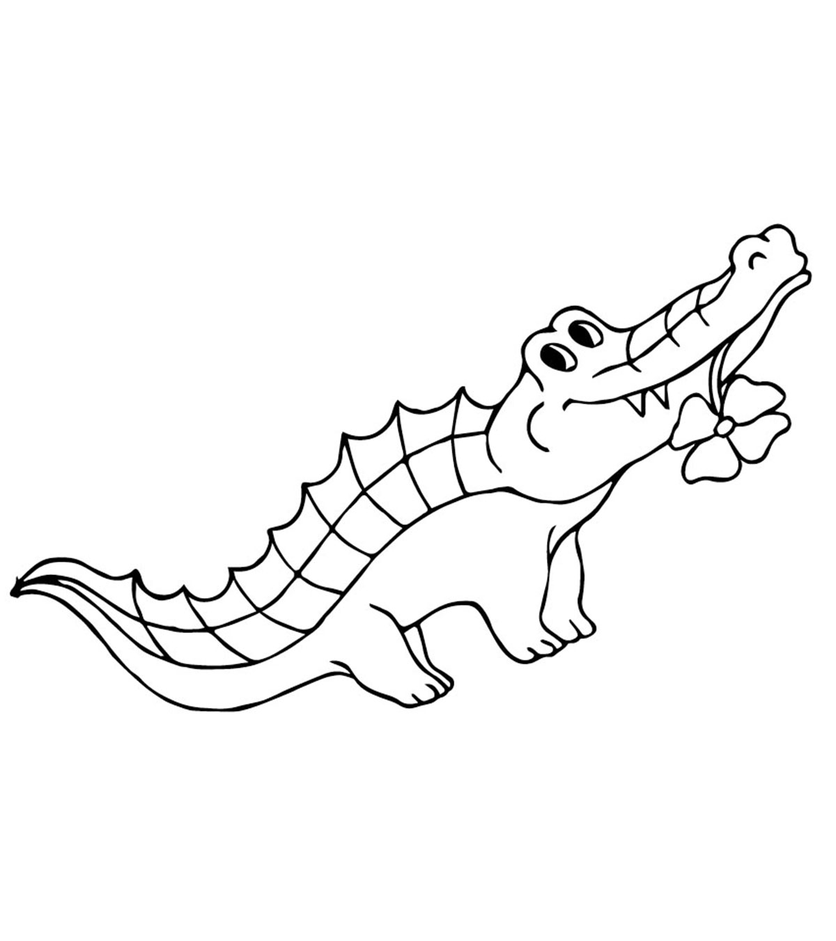 Online coloring book: Coloring book alligator with flower